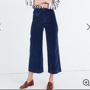 Madewell Wide Leg Blue Velvet Pants